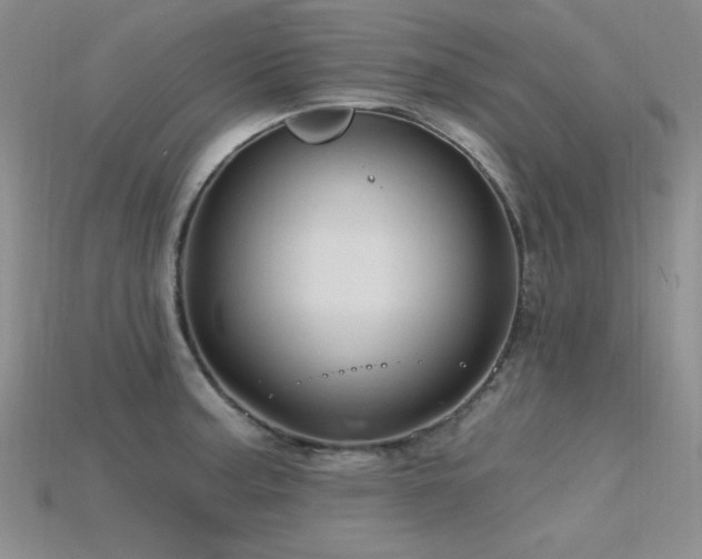 X0000115791187200911131302