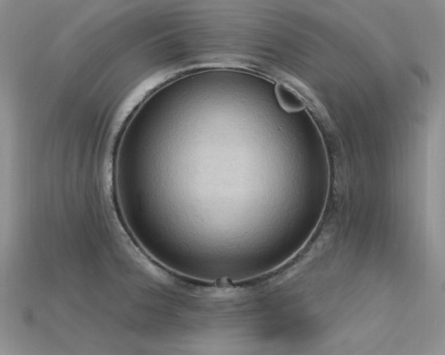 X0000115791188200911131302