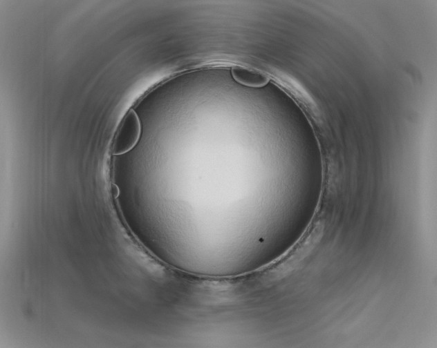 X0000115791190200911131302