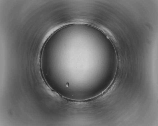 X0000115791192200911131302