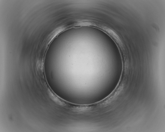 X0000115791193200911131302