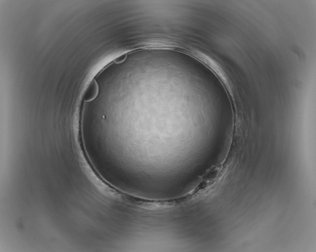 X0000115791195200911131302