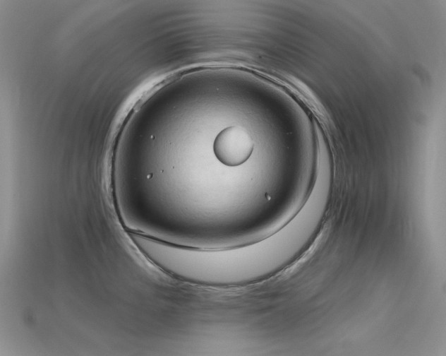 X0000115791196200911131302