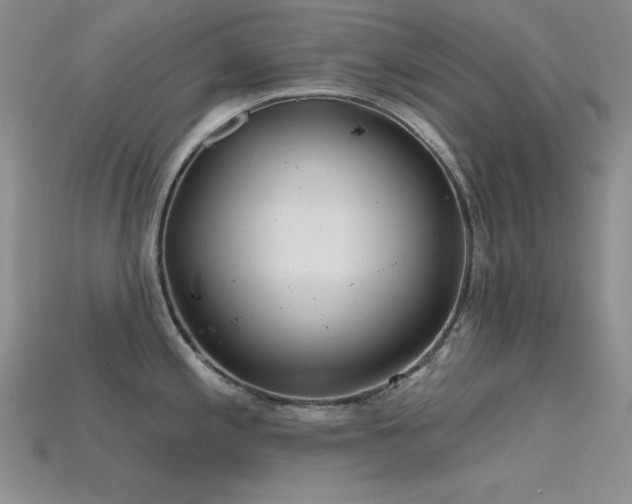 X0000115791197200911131302