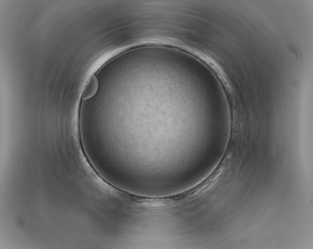 X0000115791199200911131302