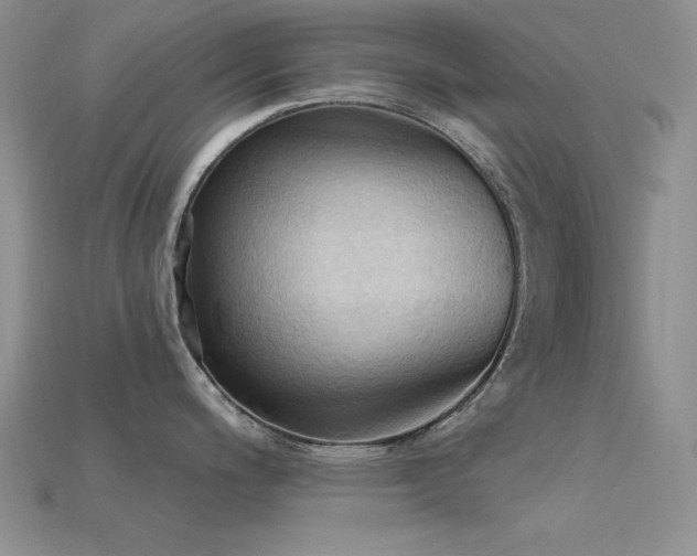 X0000115791200200911131302