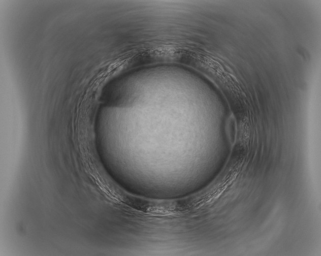 X0000115791201200911131301