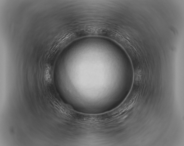 X0000115791202200911131301