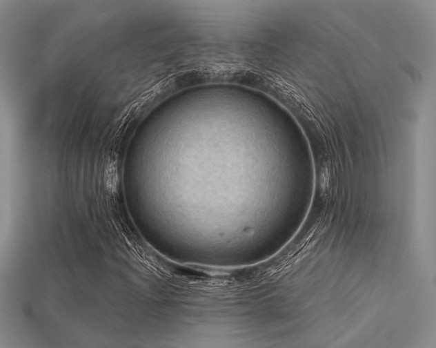 X0000115791204200911131301