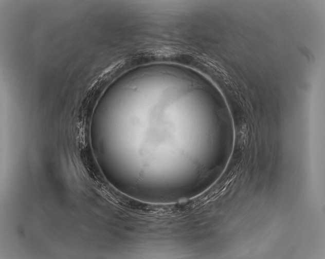 X0000115791205200911131301