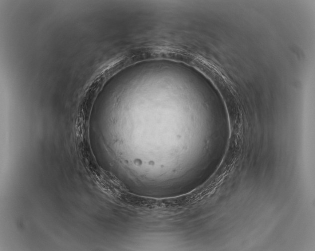 X0000115791207200911131301