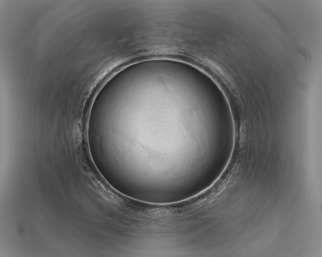 X0000115791212200911131301