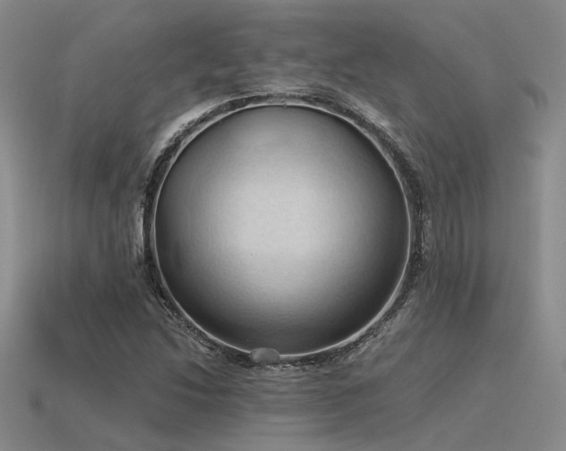 X0000115791214200911131301