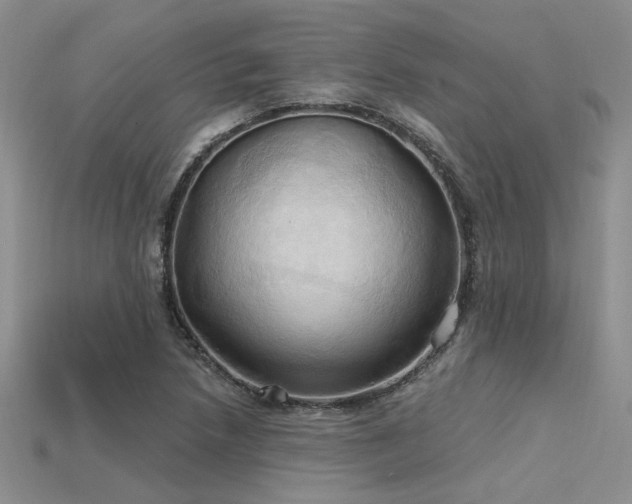X0000115791218200911131301