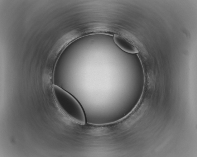 X0000115791225200911131301