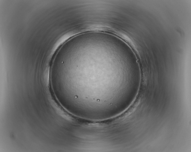 X0000115791227200911131301