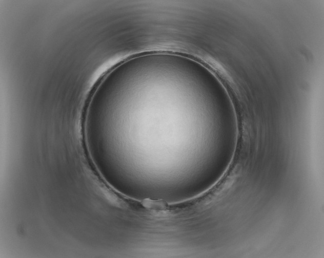 X0000115791230200911131301