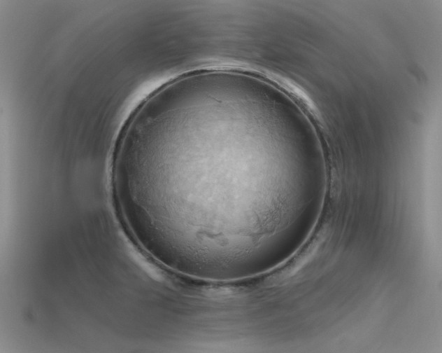 X0000115791231200911131301