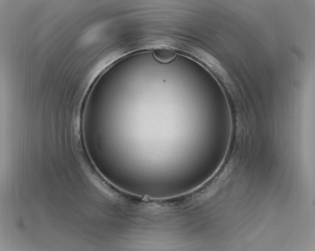 X0000115791234200911131301