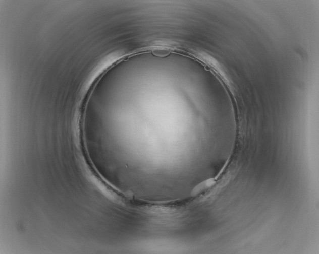 X0000115791235200911131301