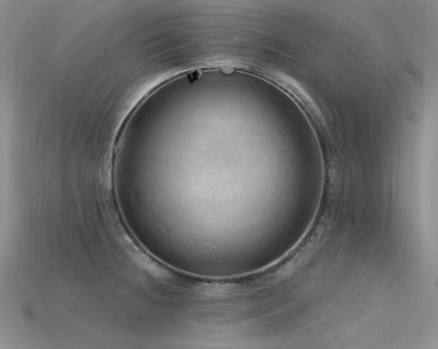 X0000115791236200911131301