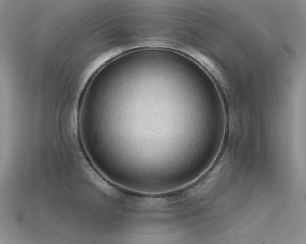 X0000115791238200911131302