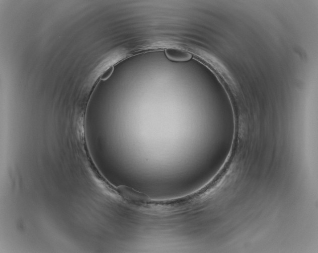 X0000115791241200911131302