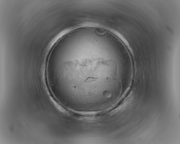 X0000115791245200911131302