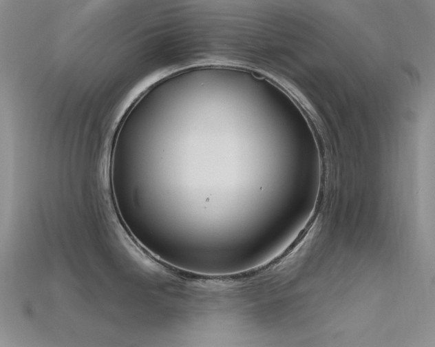 X0000115791246200911131302