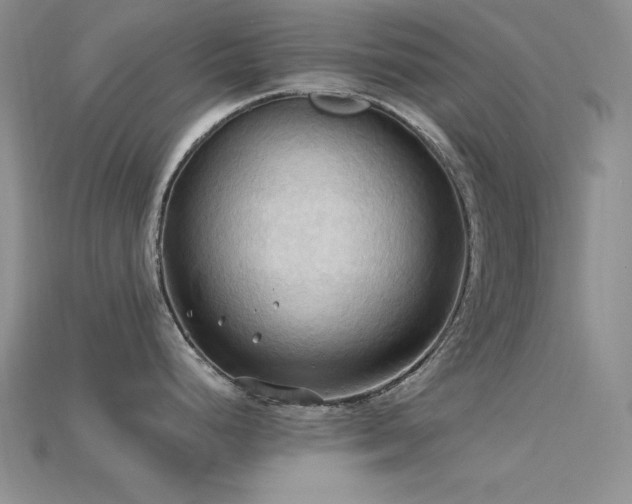 X0000115791248200911131302
