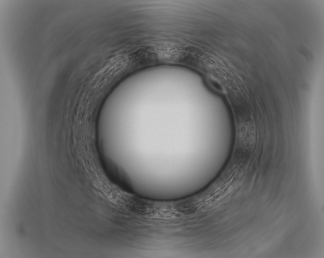 X0000115791249200911131301
