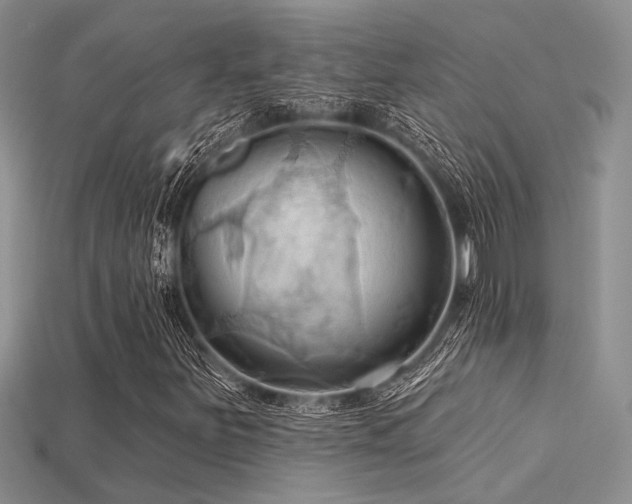 X0000115791251200911131301