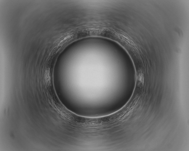 X0000115791252200911131301