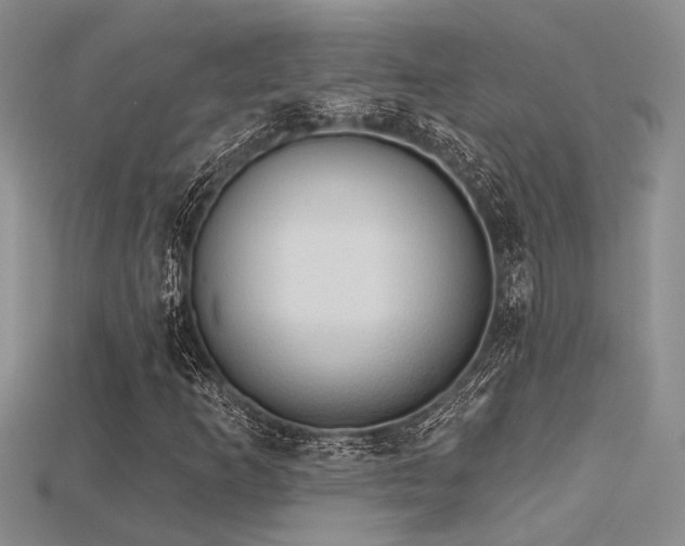 X0000115791253200911131301