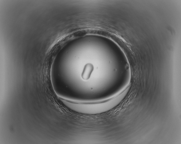 X0000115791255200911131301