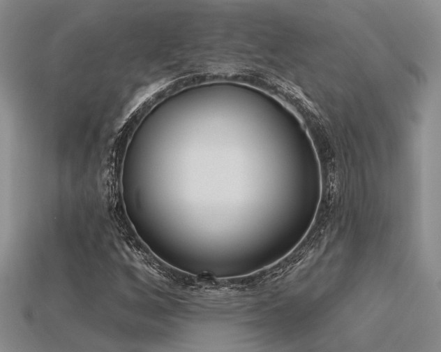 X0000115791256200911131301