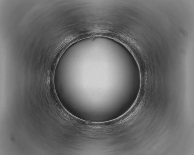 X0000115791257200911131301