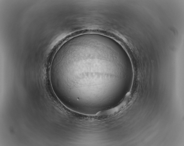 X0000115791263200911131301