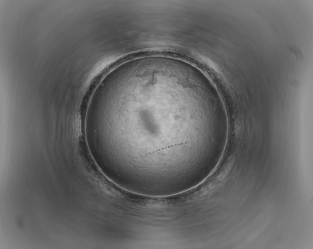 X0000115791267200911131301