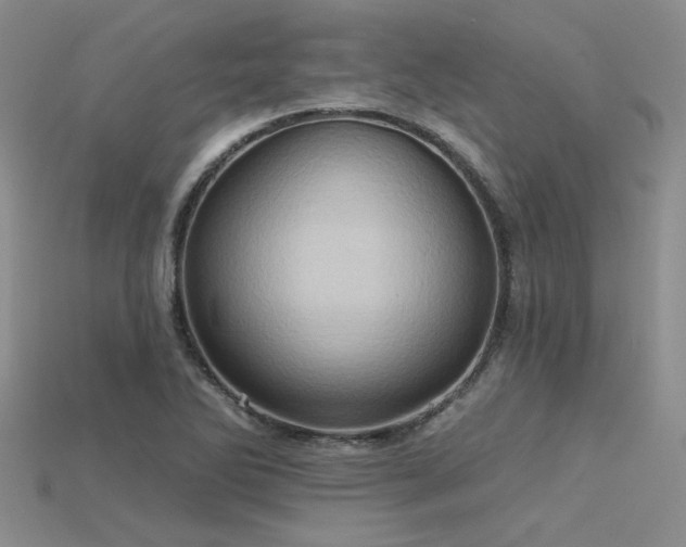 X0000115791270200911131301