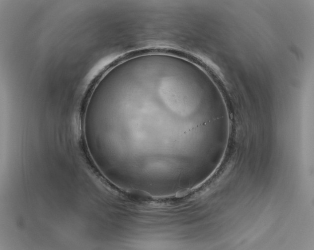 X0000115791271200911131301