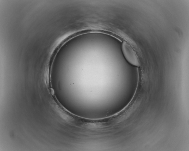 X0000115791272200911131301