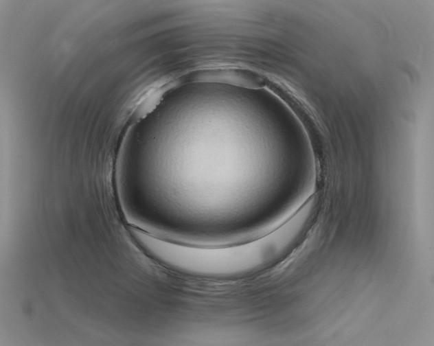 X0000115791273200911131301