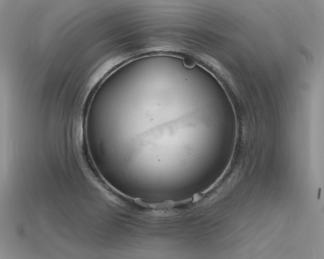 X0000115791274200911131301