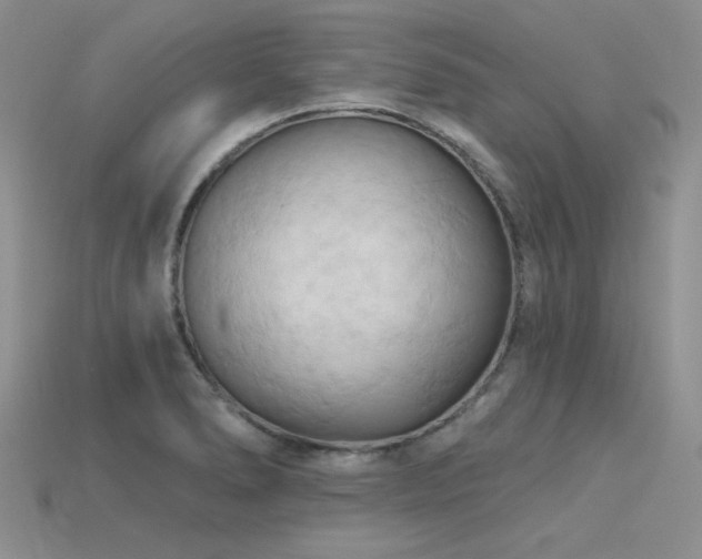 X0000115791278200911131301