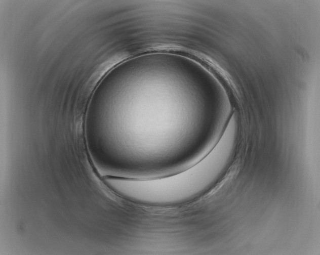 X0000115791281200911131301