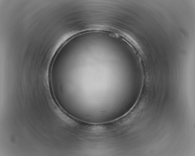 X0000115791283200911131301