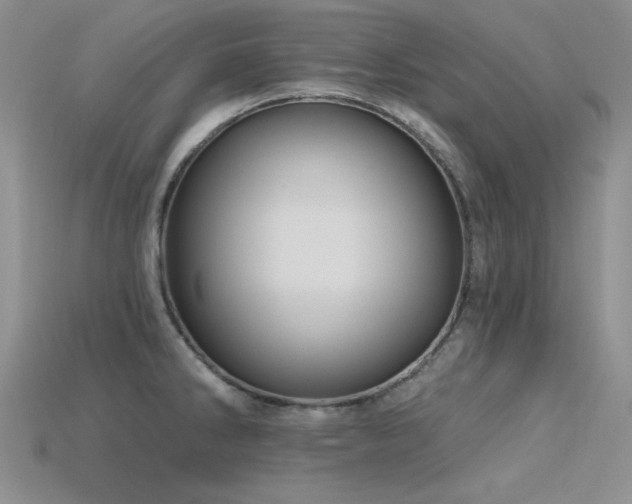 X0000115791286200911131301