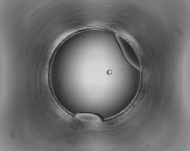 X0000115791288200911131301