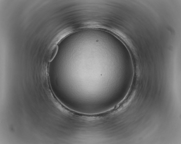 X0000115791289200911131301